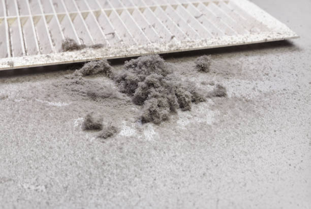 Best General Air Duct Cleaning  in Hemphill, TX