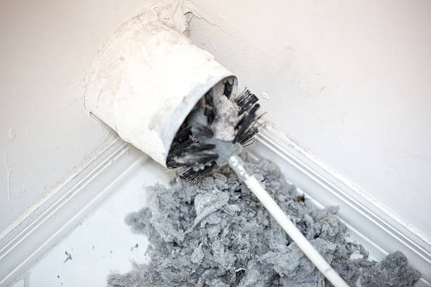 Best Ventilation Cleaning Services  in Hemphill, TX